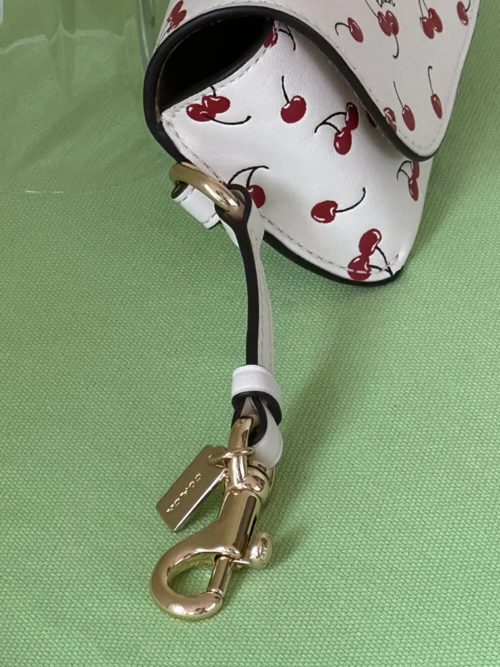 COACH SUNGLASS CASE W/ CHERRY PRINT:NWT CHALK/MULTI CFA49